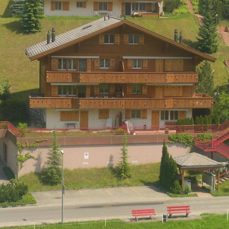 Firstsunne Apartment Grindelwald Exterior foto